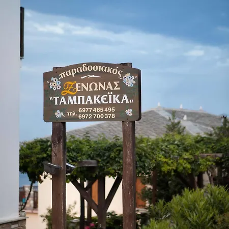 Tampakeika *
