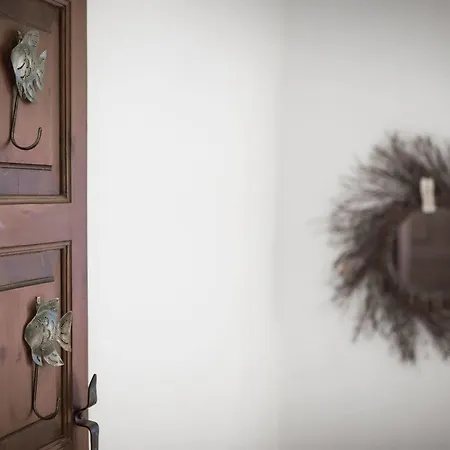 Tampakeika Mourésion